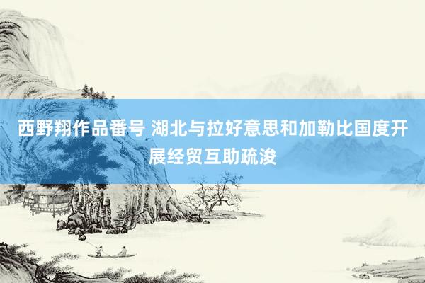 西野翔作品番号 湖北与拉好意思和加勒比国度开展经贸互助疏浚