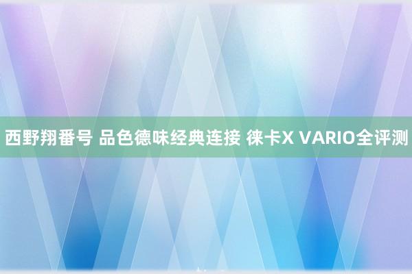 西野翔番号 品色德味经典连接 徕卡X VARIO全评测