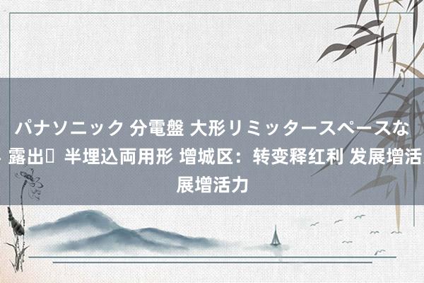 パナソニック 分電盤 大形リミッタースペースなし 露出・半埋込両用形 增城区：转变释红利 发展增活力