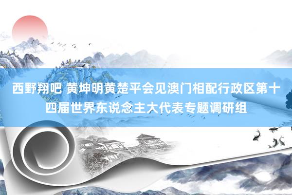 西野翔吧 黄坤明黄楚平会见澳门相配行政区第十四届世界东说念主大代表专题调研组