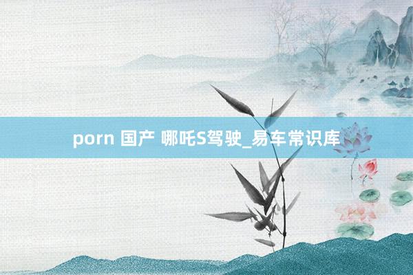 porn 国产 哪吒S驾驶_易车常识库