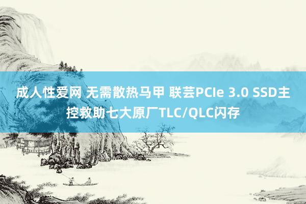 成人性爱网 无需散热马甲 联芸PCIe 3.0 SSD主控救助七大原厂TLC/QLC闪存