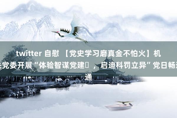 twitter 自慰 【党史学习磨真金不怕火】机关党委开展“体验智谋党建，启迪科罚立异”党日畅通