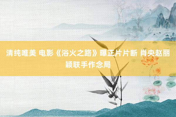 清纯唯美 电影《浴火之路》曝正片片断 肖央赵丽颖联手作念局