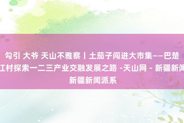 勾引 大爷 天山不雅察丨土茄子闯进大市集——巴楚县恰江村探索一二三产业交融发展之路 -天山网 - 新疆新闻派系