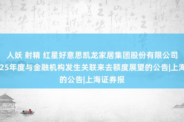 人妖 射精 红星好意思凯龙家居集团股份有限公司对于2025年度与金融机构发生关联来去额度展望的公告|上海证券报